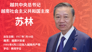 越共中央总书记、国家主席苏林的简历