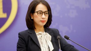 越南欢迎美国和伊朗达成的停火协议