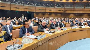 越南与联合国加强合作，携手防范打击犯罪