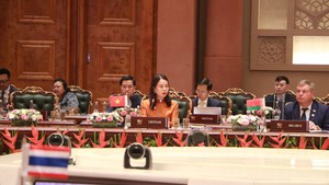 越南提出金砖国家和伙伴国的多项合作方向