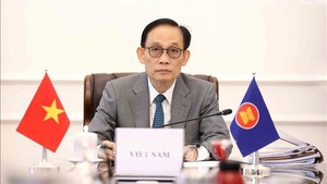 越南将为东盟—俄罗斯关系纪念峰会的成功贡献力量