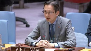越南呼吁不结盟运动支持古巴