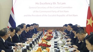 越共中央总书记、国家主席苏林同泰国总理阿努廷·参威拉军举行会谈