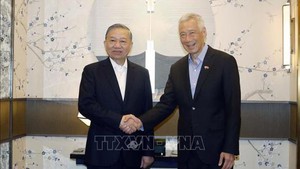 越新关系成为东盟国家间关系的典范