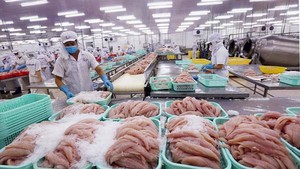 越南水产品出口保持增长势头，拟实现出口额达120亿美元目标