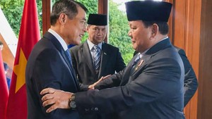黎明兴总理会见印度尼西亚总统普拉博沃