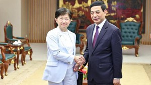 政府副总理、国防部长潘文江会见联合国副秘书长中满泉