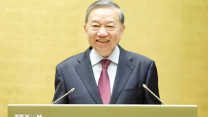 总书记、国家主席苏林出席贯彻落实越共十四大对外路线的第06号决议全国会议