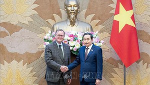 越南国会主席陈青敏会见德国联邦议院副议长