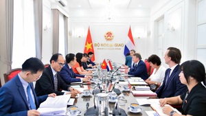 越南—荷兰外交部副部长级第二次政治磋商在越南举行