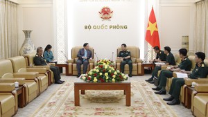 越南政府副总理兼国防部长潘文江大将会见马来西亚驻越南大使