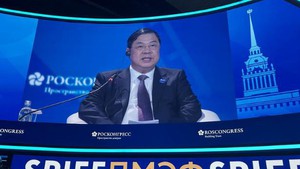 越南政府常务副总理范嘉足在第二十九届圣彼得堡国际经济论坛上提出三大合作方向
