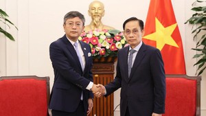 外交部部长黎怀忠会见印度驻越南大使