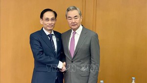 越南—中国促进双边合作