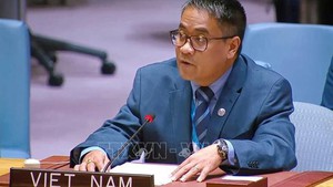 越南呼吁停止暴力冲突 ，维护航海安全， 落实中东问题的“两国方案”