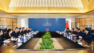 第十八次越南海关与中国海关总署反走私合作会议在中国举行