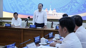 越南政府常务副总理范家肃与胡志明市就促进增长和公共投资资金实际到位情况举行工作会议