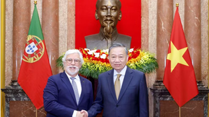 越共中央总书记、国家主席苏林会见赴越履新的各国大使