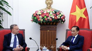 有效展开越法全面战略伙伴关系
