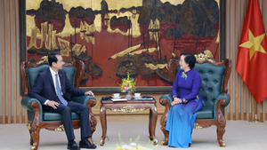 越共中央书记处书记、政府副总理范氏清茶会见中国驻越南大使何炜