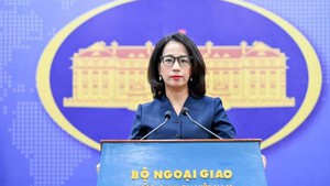 越南外交部发言人：外国在黄沙群岛的一切行动都是非法和无效