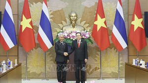 有效落实越南—泰国国会合作协议