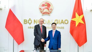 越南与波兰外交部副部长级政治磋商在河内举行