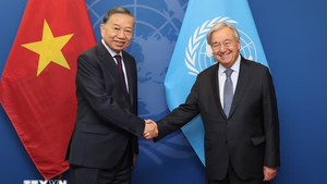 越共中央总书记、国家主席苏林会见联合国秘书长安东尼奥·古特雷斯
