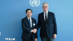 联合国支持越南提升参与维和行动的深度和广度