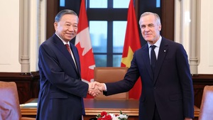 越共中央总书记、国家主席苏林同加拿大总理马克·卡尼举行会谈