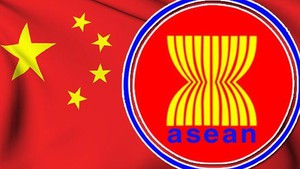 2026年前7个月中国—东盟贸易额大增