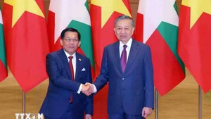 越共中央总书记、国家主席苏林同缅甸总统敏昂莱举行会谈