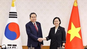 越南国会主席陈青敏会见韩国总理韩圣淑