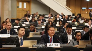 越南呼吁提高联合国人权理事会全球人权治理效能