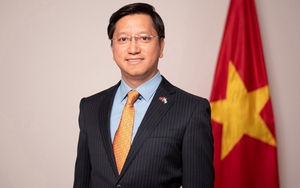 Hội nghị Thượng đỉnh Vibrant Gujarat: Việt Nam coi trọng quan hệ với Ấn Độ