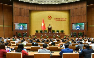 Tạo cơ sở pháp lý cho thị trường bất động sản phát triển lành mạnh, an toàn, bền vững