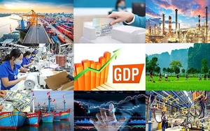 2024 - năm của Việt Nam