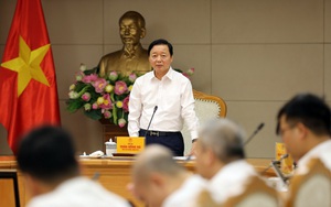 Cơ sở dữ liệu đất đai phải tập trung, thống nhất, "đúng, đủ, sạch, sống"