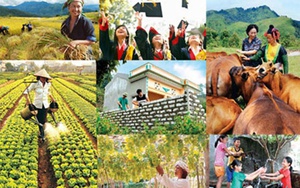 Hợp nhất 3 chương trình mục tiêu quốc gia là cần thiết