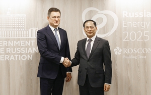 Chính phủ Nga cam kết triển khai sớm, hiệu quả thoả thuận cấp cao với Việt Nam