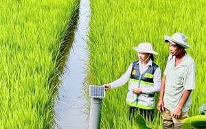 Chuẩn hóa hệ thống khuyến nông theo mô hình tinh gọn, liên thông, thống nhất