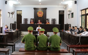 Miễn trách nhiệm hình sự cho người nuôi, bán gà lôi trắng