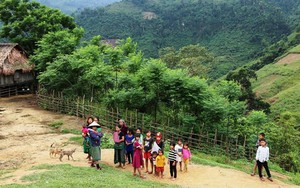 Quy định tiêu chí, phân định vùng đồng bào dân tộc thiểu số và miền núi giai đoạn 2026-2030