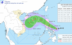 Dự báo các kịch bản tác động của bão số 12