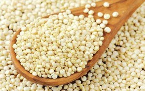 Bộ Y tế thu hồi dược liệu Ý dĩ không đạt tiêu chuẩn chất lượng