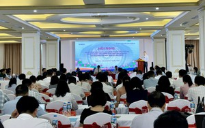 Hơn 10.000 lượt lao động Việt Nam làm việc thời vụ tại Hàn Quốc theo hợp tác địa phương