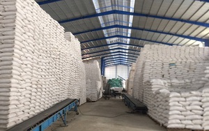 Chính phủ thông qua nội dung dự án Luật Dự trữ quốc gia (sửa đổi)