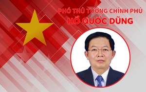 INFOGRAPHICS: Tiểu sử tân Phó Thủ tướng Chính phủ Hồ Quốc Dũng