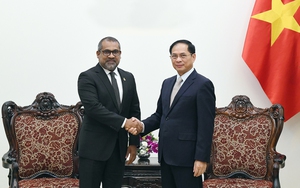 Phó Thủ tướng Bùi Thanh Sơn tiếp Bộ trưởng Ngoại giao Maldives