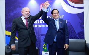 Tổng thống Brazil khẳng định đặc biệt coi trọng quan hệ với Việt Nam